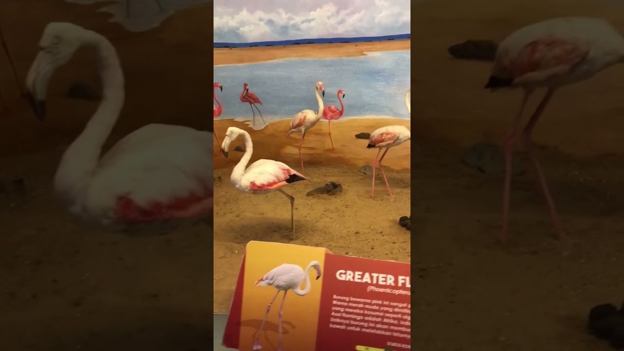 Eco Green Park Batu Malang - Part 1