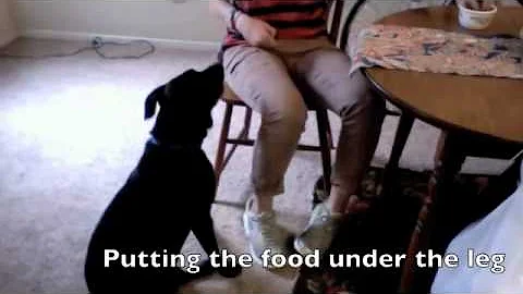 training Mowgli to pray