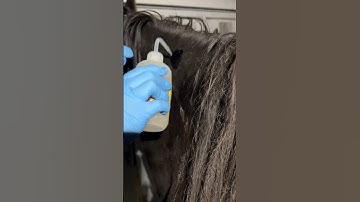 Penn Foster - Vet Tech - Skill 40 - Equine IM Injection