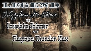 :   | Megabass ito shiner & kosadaka shinner & Thander max