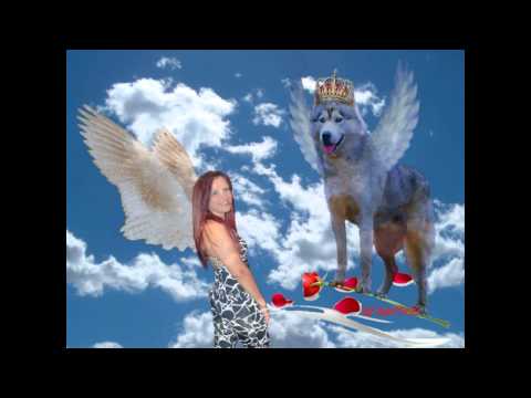 ΑΝΔΡΕΑΣ ΚΩΝΣΤΑΝΤΙΝΟΠΟΥΛΟΣ -