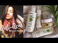 Anti-Acne Skincare Regime | Plum Green Tea Range Review | The Nyeree Diaries