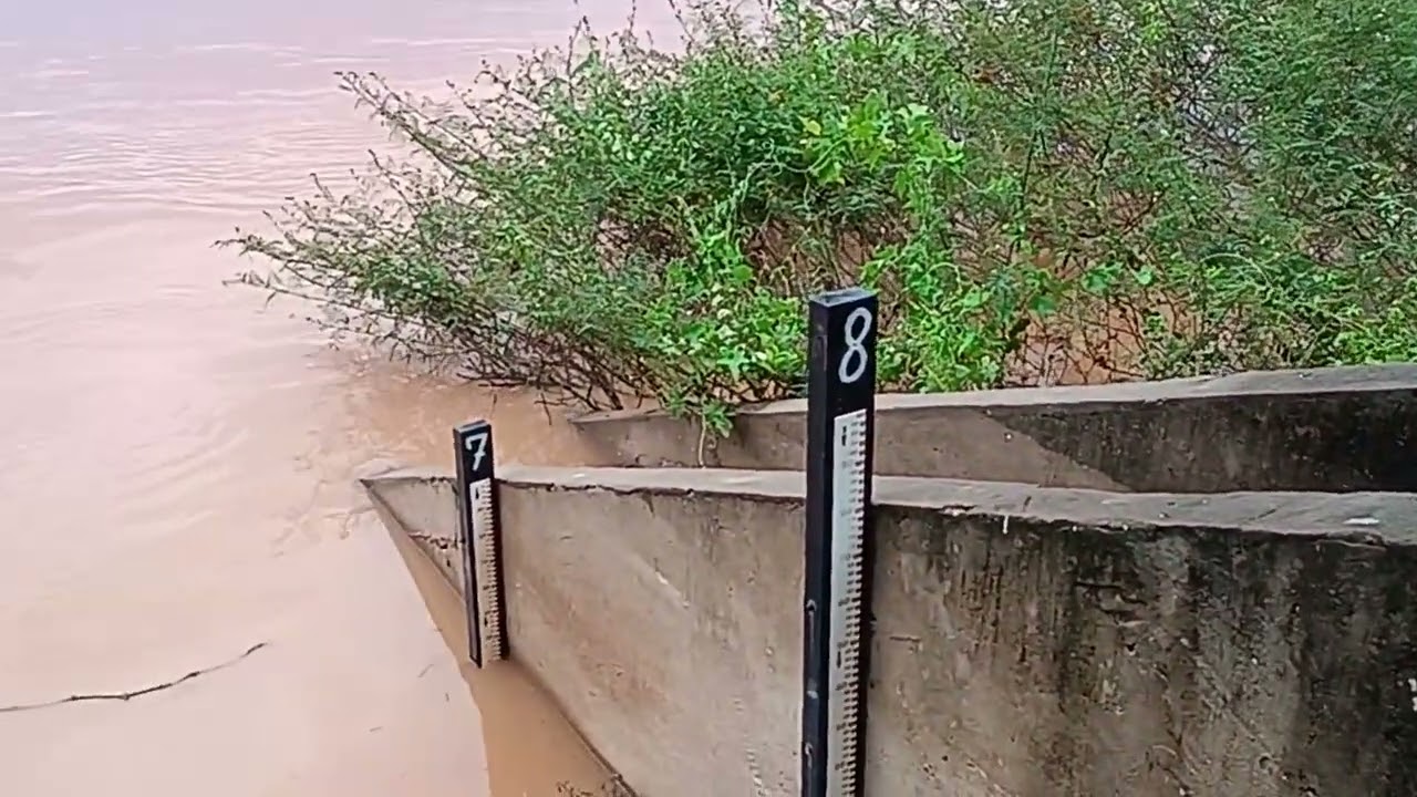 O nível do Rio São Francisco alimento bastante Hj em manga MG 