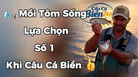 🎣 Mồi Tôm Sống – Lựa Chọn Số 1 Khi Câu Cá Biển