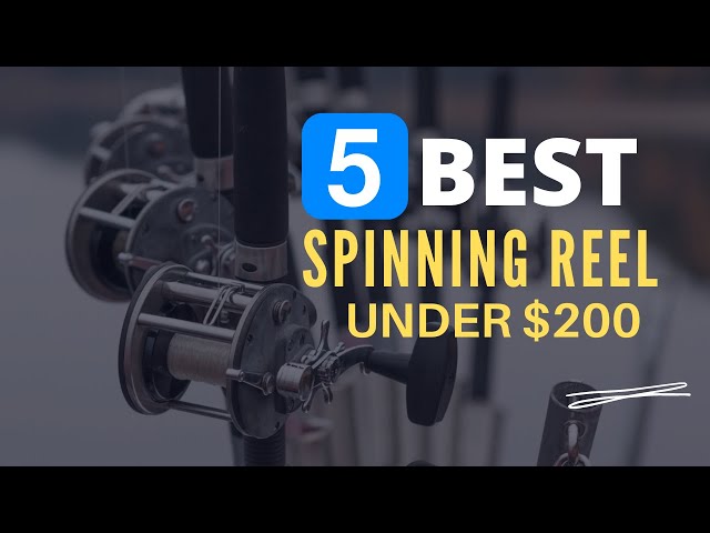 ⭕ Top 5 Best Spinning Reel under $200 in 2022 [Review and Guide] 