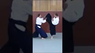 Aikido Techniques Mawashi Geri Jiyuwaza Tissier Sensei aikido martialarts artesmarciales shorts