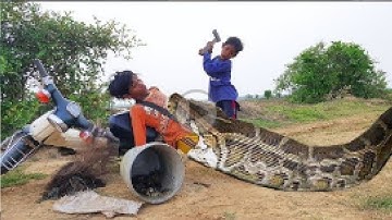 Primitive Technology: Simple DIY Python Snake Trap Using Real hands to Catches That Work 100%