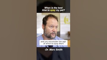 Spaying Your Dog: What Vets Don’t Tell You by Marc Smith, DVM, MS