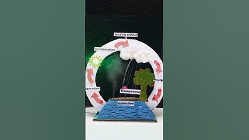 Water Cycle Model ! 1st Prize Winning Science Project #schoolproject #shorts #diy #shortvideo