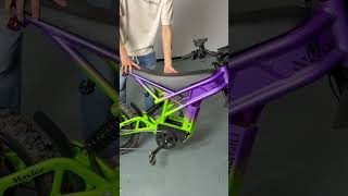 BG-master Immersive Experience