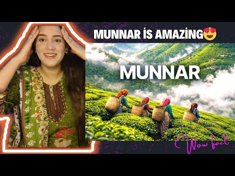Pakistani reacts to Kerala: World’s Highest Tea Gardens (7,900 ft! 😱) | India | Beauty | Tea | Farm