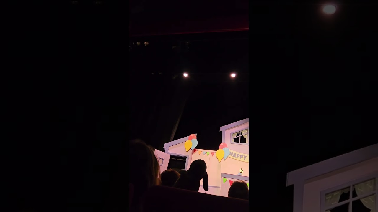 The Sooty show Live 75th Birthday Spectacular Lowry theatre 28th January 2024