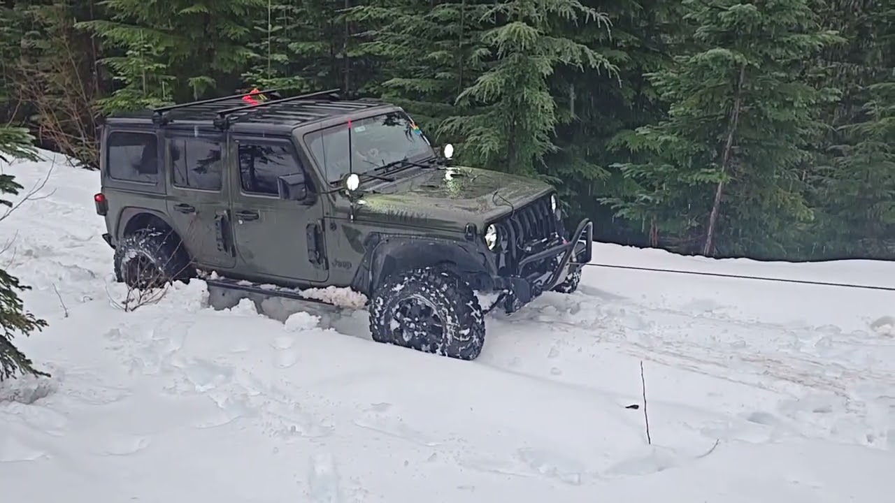 Christmas tree hunting / Osbourne mountain 🏔️ 🎄