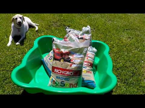 IS YOUR DOG BORED WITH THEIR TOYS? HERE'S How to keep old dog toys exciting  - Collab Dog Training