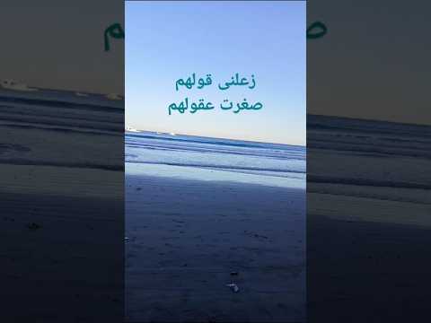 زعلنى قولهم صغرت عقولهم