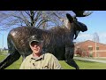 Moose calling with Roger Lambert