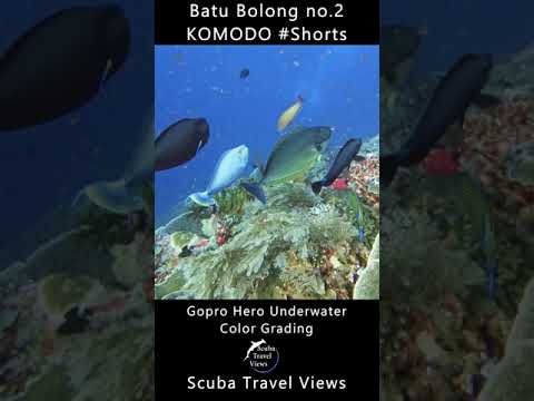 Go Pro Color Grading Batu Bolong no2 Komodo #Shorts