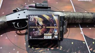 Federal Grand Slam 20ga 3 1-5/16oz #5 Test W/ Stevens 301 & Flush XF .585 vs HS Strut .572