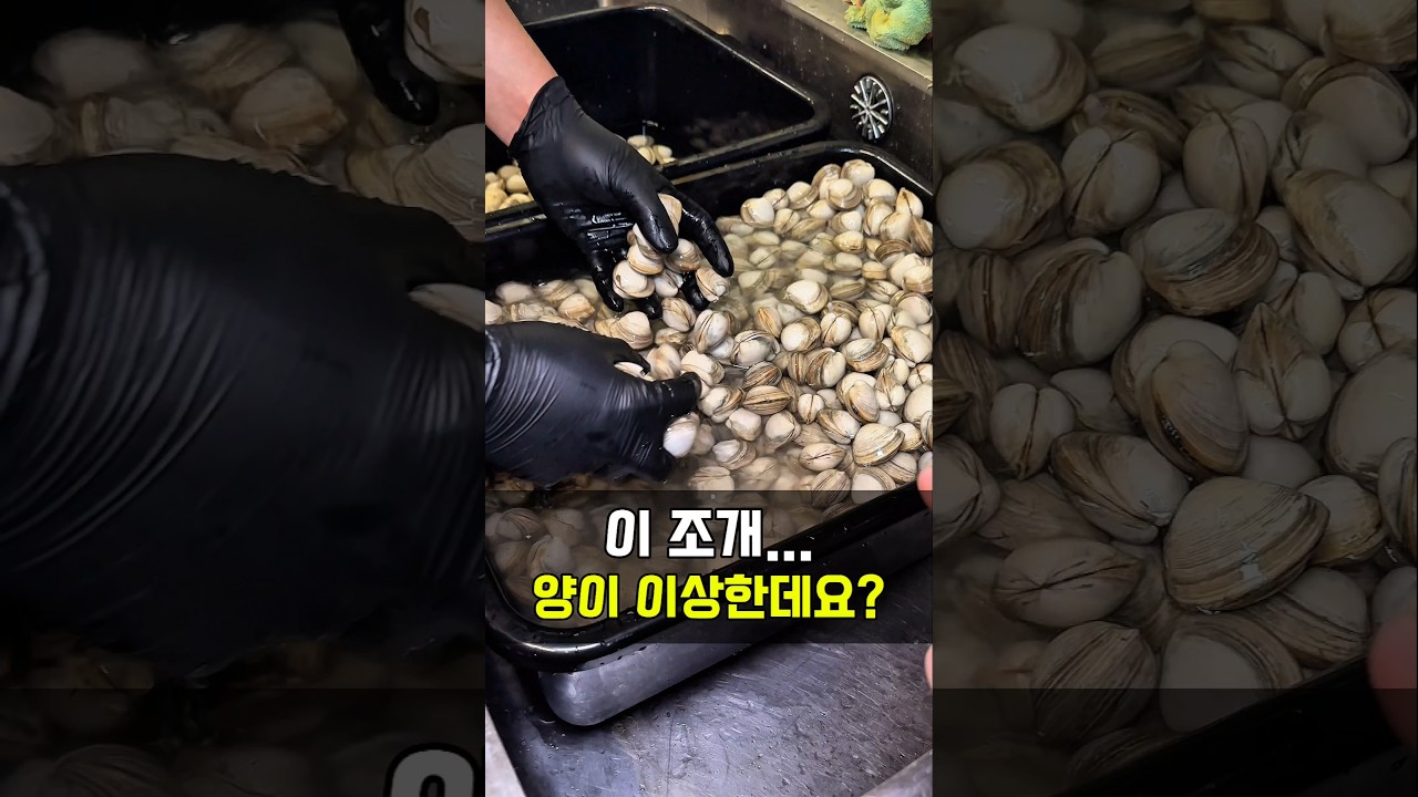 이렇게 많이 그냥 준다구요?🍜