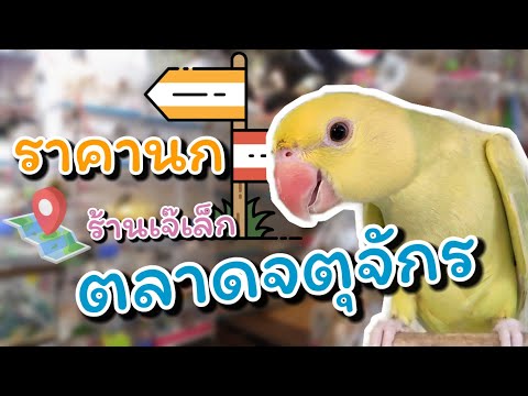 ราคานก....ร้านเจ๊เล็ก ตลาดจตุจักร ช่วงก่อนปีใหม่