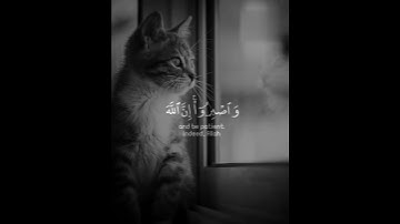 حالات واتس/ولله يريد أن يتوب عليكم سورة) (النساء، صوت هادئ ومريح