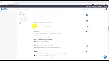 How to hide Zoom windows when screen sharing