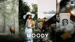 Moody Preset | Lightroom Presets Free DNG and XMP Download | Lightroom Photo Editing Tutorial screenshot 2