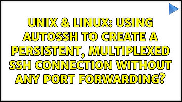 Using autossh to create a persistent, multiplexed ssh connection without any port forwarding?