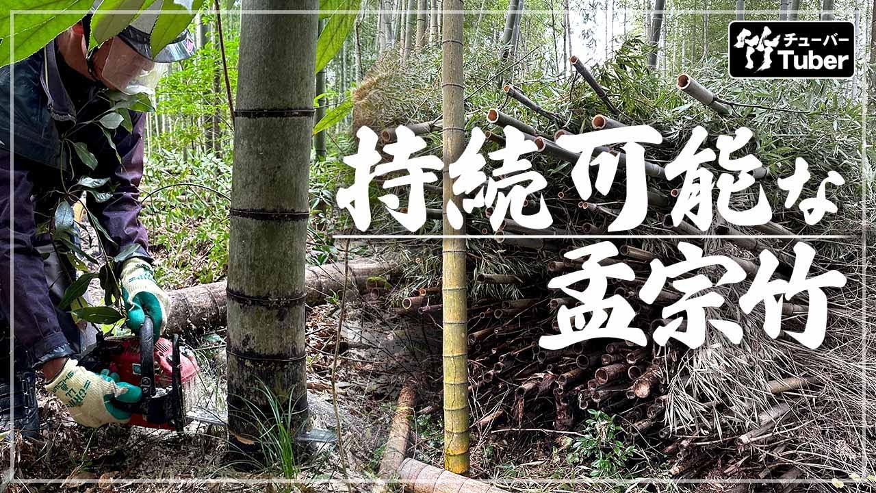 rokusan様「専用画面」 香川県産→ 女竹＋竹材＋黒竹＋真竹 4品種