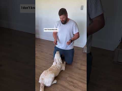 Puppy Training: TURN Command!