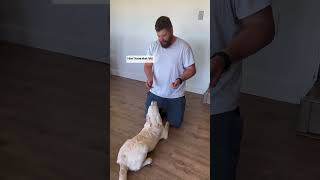 Puppy Training: TURN Command!