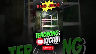 Download Lagu KENARI PAUD JOSJIS MP3