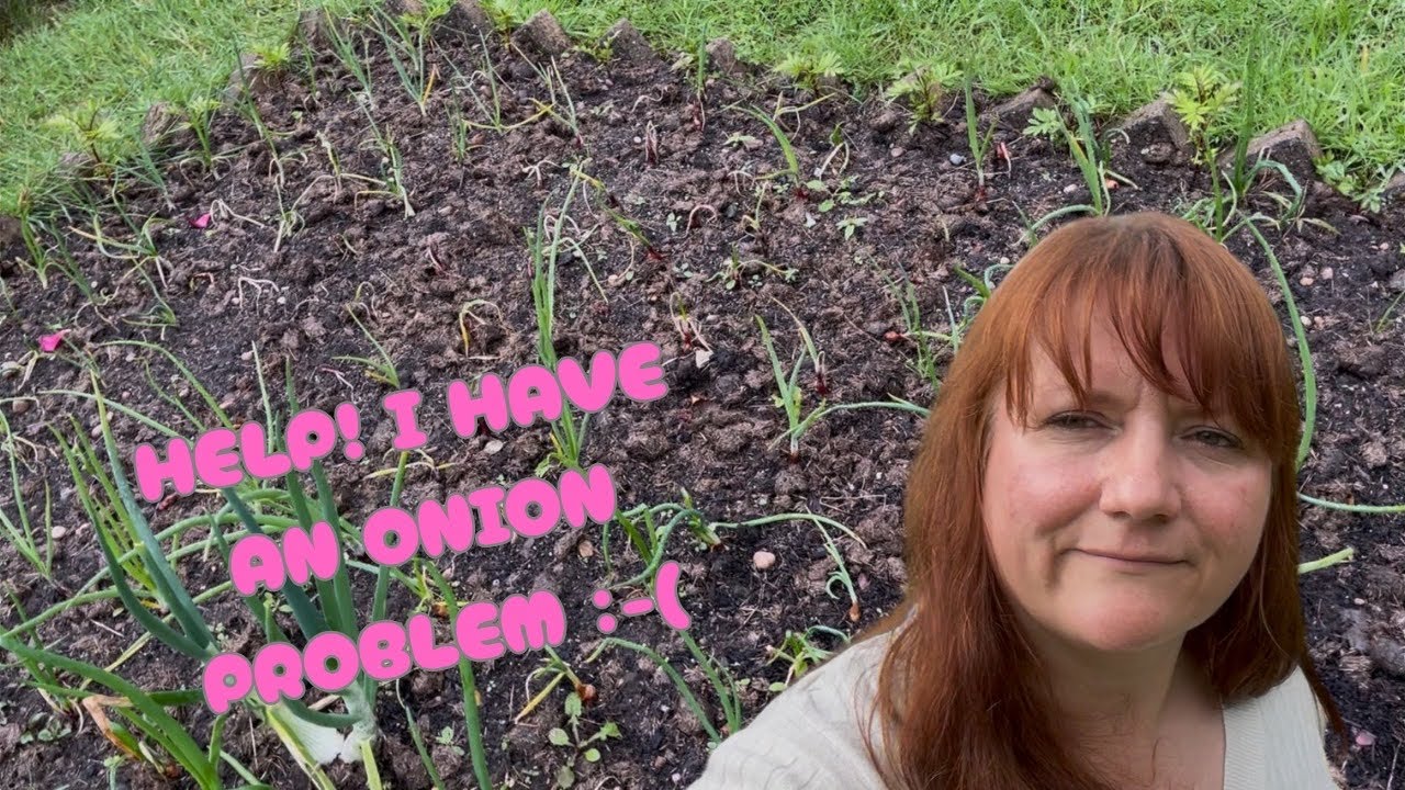 Ali’s Vlog 8 - Help! What’s Happening to my Onions! Home Allotment/Gardening Allotment UK