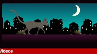 Create Cat Walking Animation With Html And Css  | Techie Tutorial screenshot 1