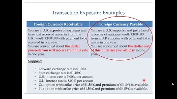 Hedging foreign currency payable - Introduction (Part 1 of 5)