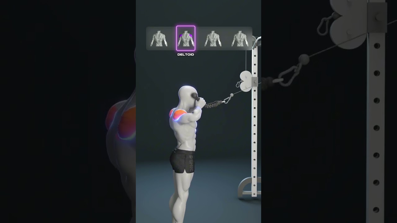 💪 4 Back Moves for Strength & Definition