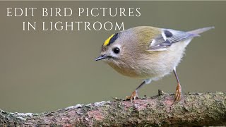 THIS is how I edit my BIRD PHOTOS in LIGHTROOM // Topaz Denoise