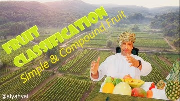 Fruit Classification -  Part 3: Simple, Aggregate and Multiple Fruits