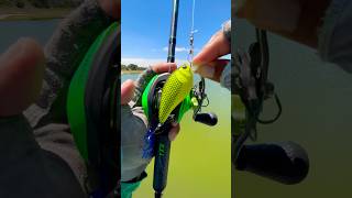 Tips casting a Baitcaster with Crankbait for Bass#fishing#fish#shortvideo#shorts#short#viral#youtube