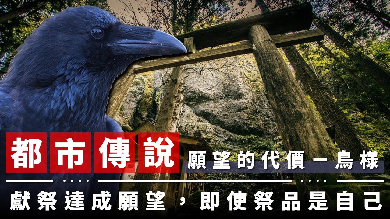 【都市傳說】只要付出代價就能達成願望，即使代價是你的生命｜鳥樣