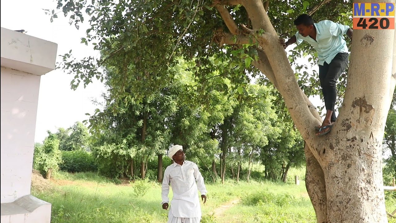 વિરમ અને મફાજીએ કર્યો નટુકાકાનો દાવ | VIRAM ANE MAFAJI A KARYO NATUKAKA NO DAV | NEW COMEDY VIDEO