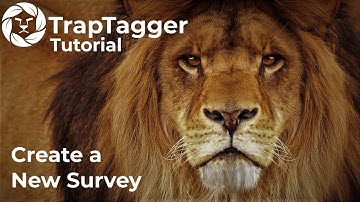 TrapTagger: Create a New Survey