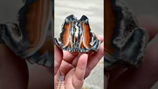 We Couldn’t Believe This Agate Came Out of Indonesia 😲 | Sumatra Agate