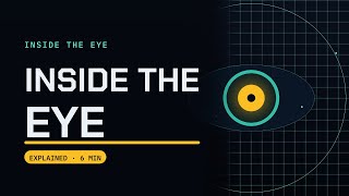 How Does Your Eye Actually See Inside the Human Eye