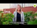 Ref:_5CmFvzmFmo La maison lanson s'engage pour l'environnement avec oleo100