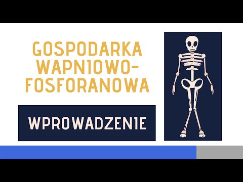 Wideo: Fosforany Wapnia I Krzem: Badanie Metod Wprowadzania