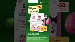 Skorzystaj nowych rabatów na produkty dla Twojego kota!