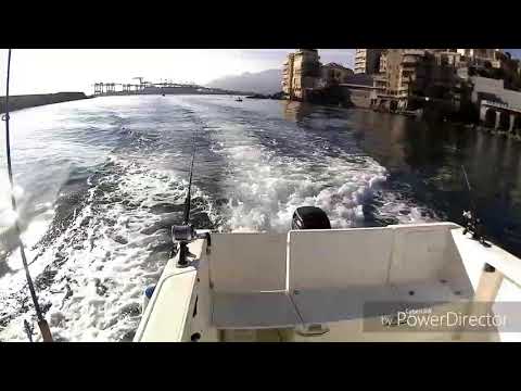 Pesca al tonno in Liguria – Traina d'altura