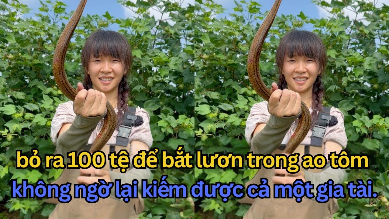 CƯỢC 100 TỆ: Bị Chủ Ao Khích Tướng, Màn Thắng Lớn và Màn Trả Ơn Bất Ngờ