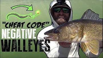 "CHEAT CODE" for Catching FINICKY Walleyes on ANY LAKE!
